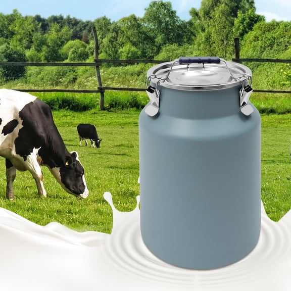Rice Storage Container, Stainless Steel Airtight Canister 3.2Gal Canisters Container with Lids Locking Clamp, 12L Bucket Food Storage Containers Airtight for Rice Flour Grain Coffee Bean (Blue)