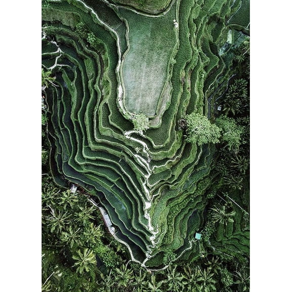 Rice Terraces Print Wall Art, Modern Wall Decor For Living Room Bedroom, 8x12 UNFRAMED