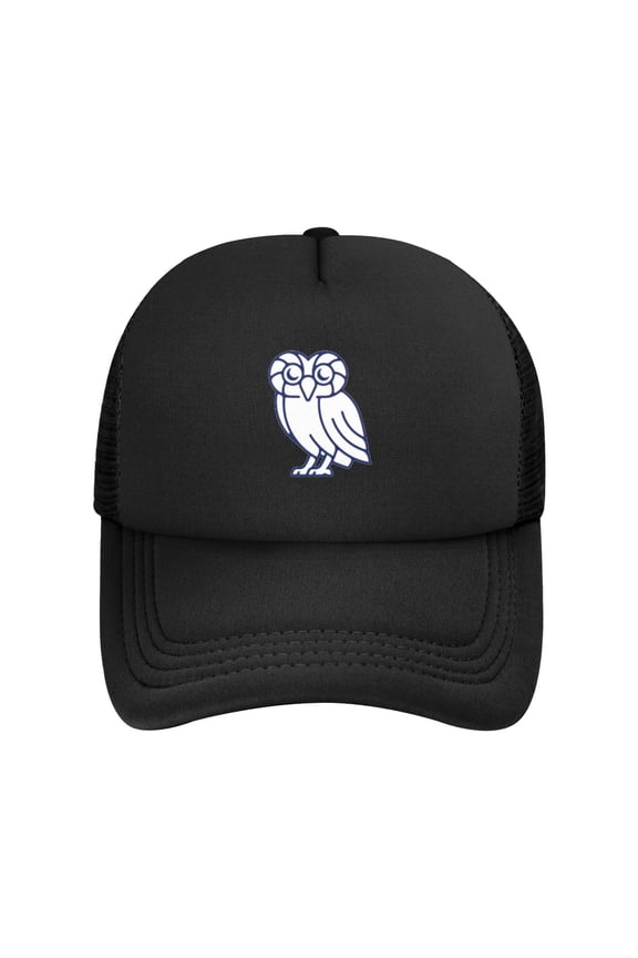 Rice University Solid Color Lightweight Adult Mesh Baseball Cap