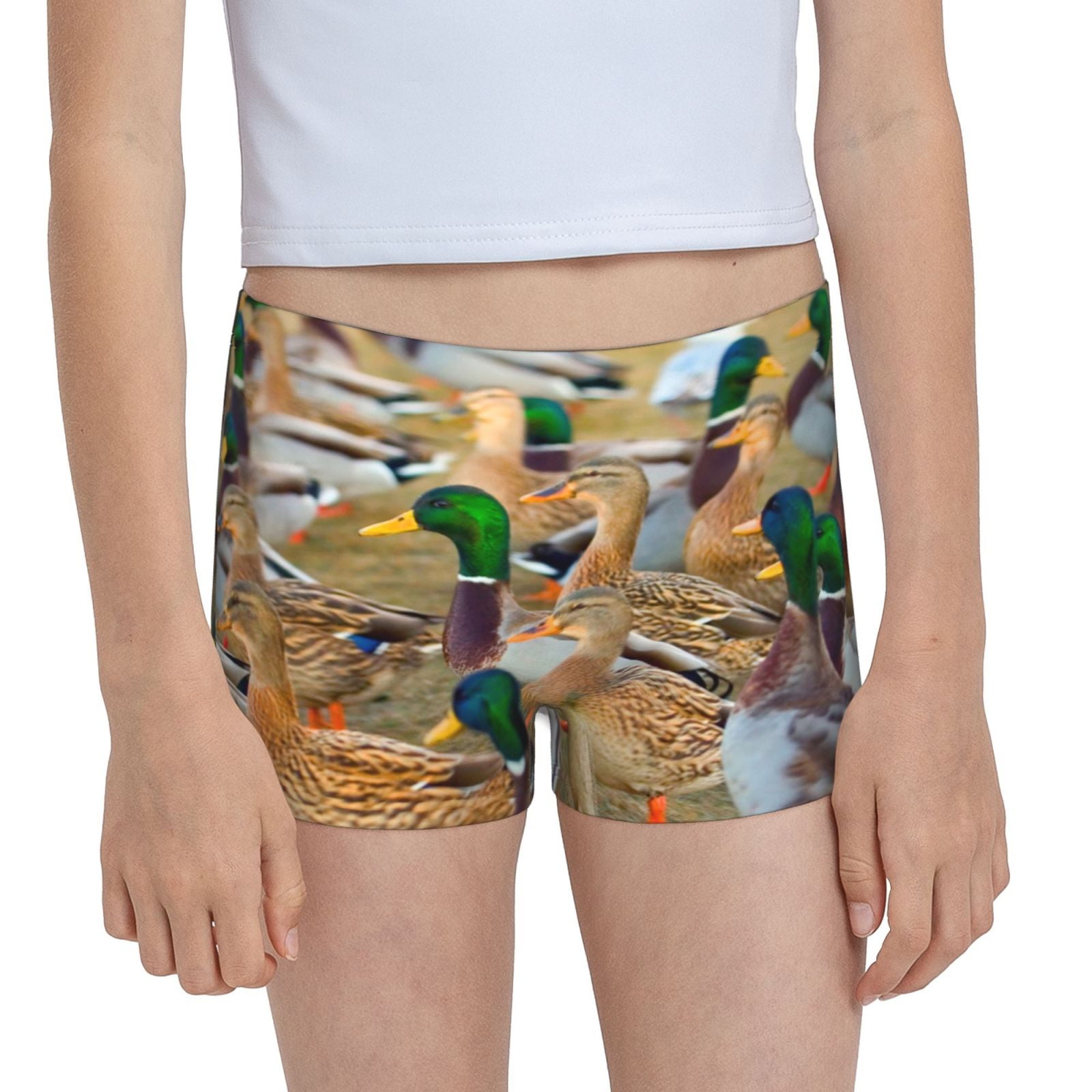Easygdp Mallard Ducks Girls Hipster Cotton Underwear Little Girls