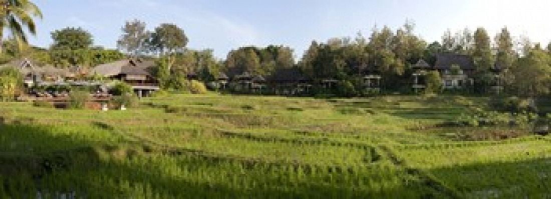 Rice fields in front of villas Four Seasons Resort Chiang Mai Chiang Mai Province Thailand Canvas Art - Panoramic Images (18 x 7)