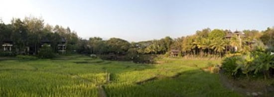 Rice fields in front of villas Four Seasons Resort Chiang Mai Chiang Mai Province Thailand Canvas Art - Panoramic Images (36 x 13)