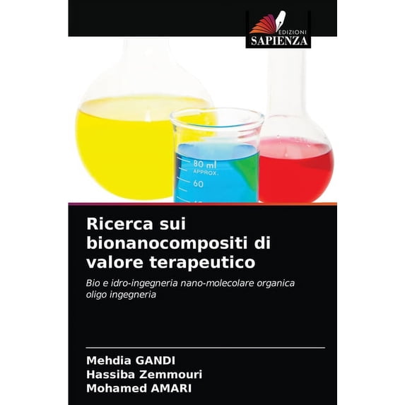 Ricerca sui bionanocompositi di valore terapeutico (Paperback)