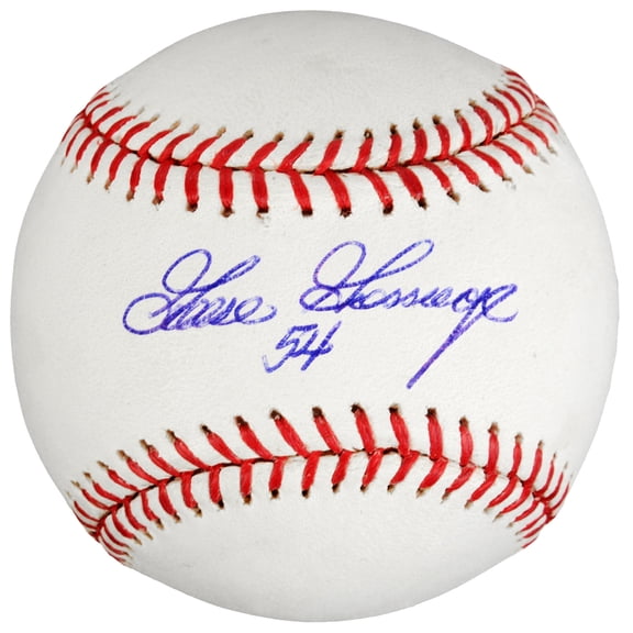 Rich Gossage New York Yankees Fanatics Authentic Autographed Baseball - No Size