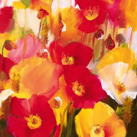 Rich Petals Canvas Art - Ann Neate (24 x 24)
