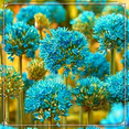 thumbnail image 1 of Rich in Colored/Perennial Allium/Low Maintenance Garden Decoration, 1 of 4
