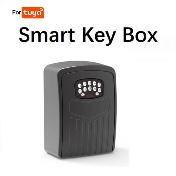 RichLink Key Lock Box for for Tuya Smart Key Safe Weatherproof Key Storage Lock Box indoor,Black
