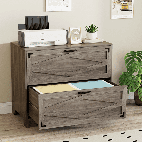 RichYa 2 Drawer Wood Lateral File Cabinet, Large Filing Cabinet for Home Office, Fits A4/Letter Size Files, Grey