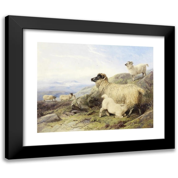 Richard Ansdell 14x12 Black Modern Framed Museum Art Print Titled - Sheep on a Mountainside (1856)