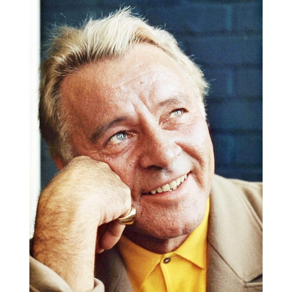 Richard Burton 24X36 Classic Hollywood Poster Smiling Later Portrait
