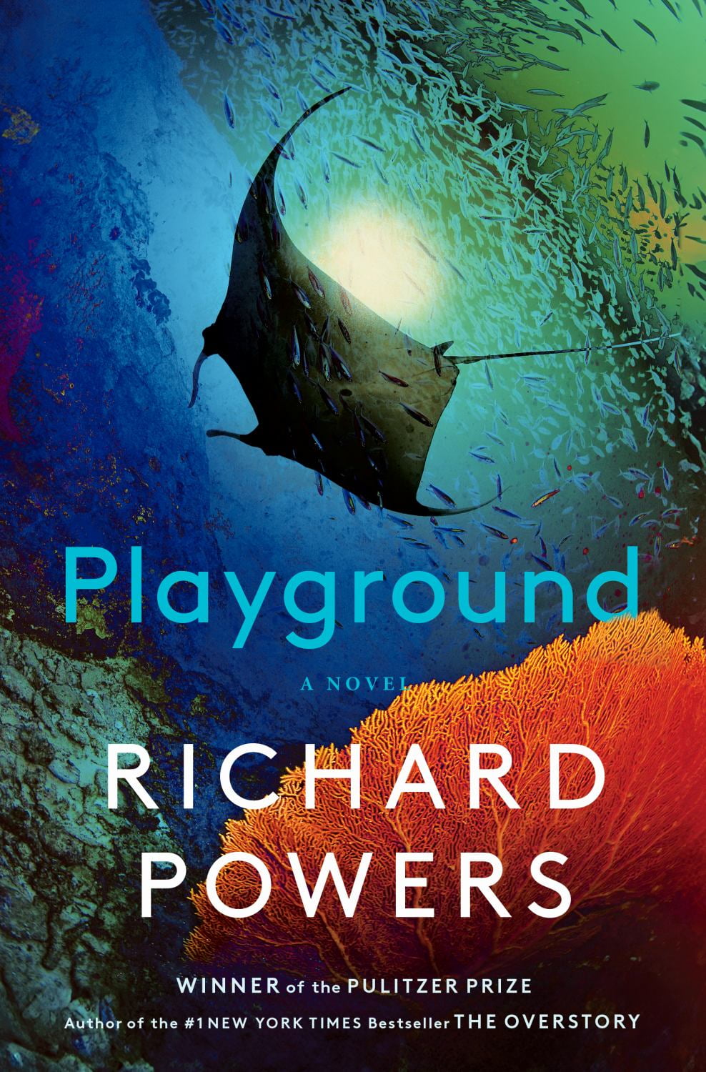 Playground (Hardcover) - Walmart.com