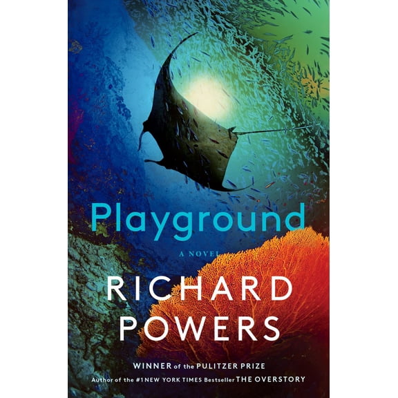 Playground (Hardcover)