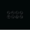 thumbnail image 1 of Selenodesy (LP) by Richard Skelton, 1 of 1