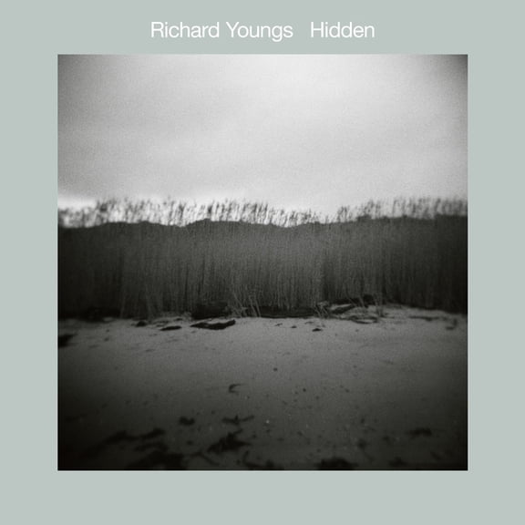 Richard Youngs - Hidden - Music & Performance - Vinyl