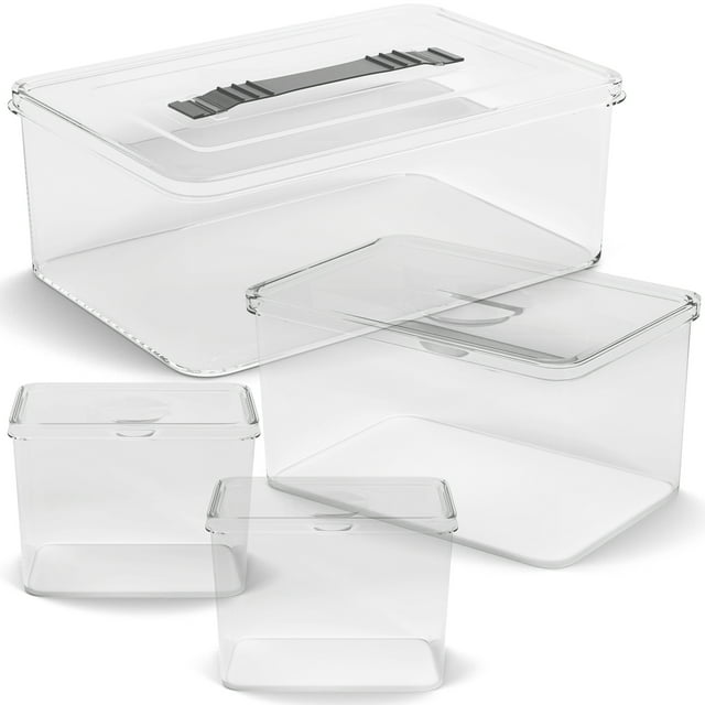 Richards Clear Plastic Storage Containers with Lids for Organizing Set