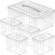 Richards Storage Bins with Lids Clear Plastic Containers & Organizer Bins, 1 Large 4 Small
