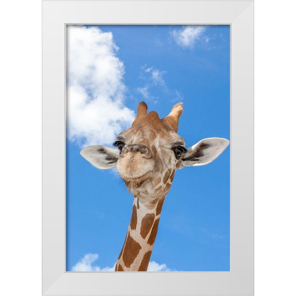 Richardson, Larry 11x14 White Modern Wood Framed Museum Art Print ...