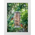 thumbnail image 1 of Richardson, Larry 11x14 White Modern Wood Framed Museum Art Print Titled - Beautiful painted buntings-male and female on backyard feeder seen from window, 1 of 4