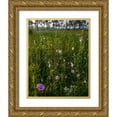 thumbnail image 1 of Richardson, Larry 12x14 Gold Ornate Wood Framed with Double Matting Museum Art Print Titled - Marsh Mallow blooms in a South Florida prairie, 1 of 4