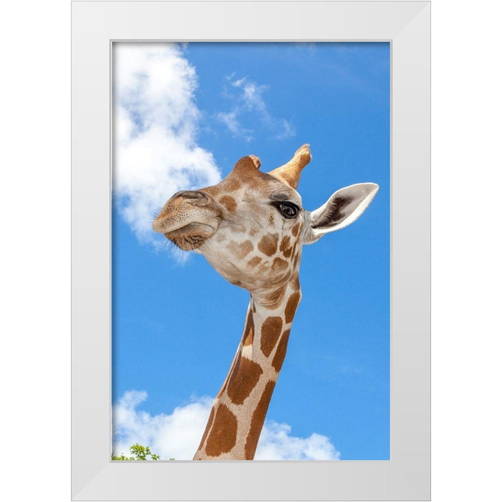 Richardson, Larry 23x32 White Modern Wood Framed Museum Art Print