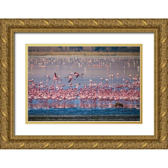 Richardson, Larry 32x23 Gold Ornate Wood Framed with Double Matting Museum Art Print Titled - Lesser flamingos rest and feed in Lake Magadi inside Ngorongoro Crater-Tanzania