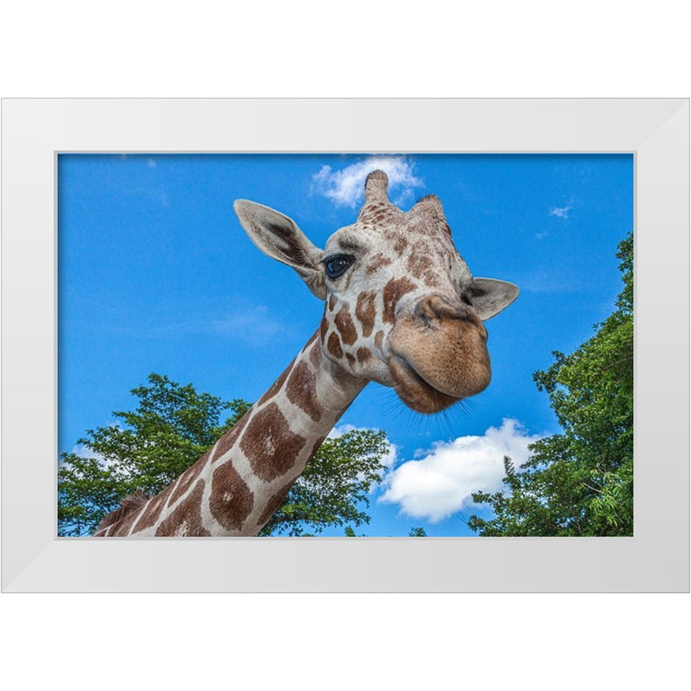 Richardson, Larry 32x23 White Modern Wood Framed Museum Art Print ...