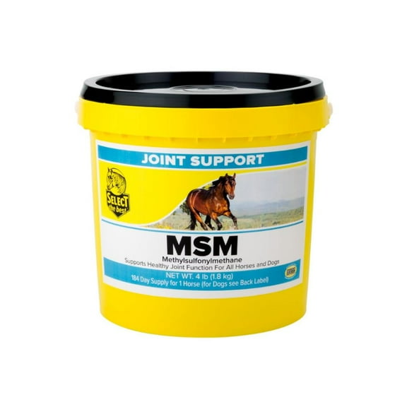 Richdel Inc MSM Joint Support Powder 4lb
