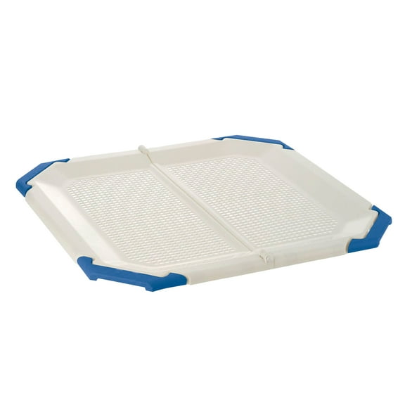 Richell Paw Trax Potty Pad Holder in Light Beige & Blue, Potty Training Tray for Dogs