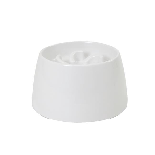 Richell USA 803840500156 Raised Slow Feeder Bowl