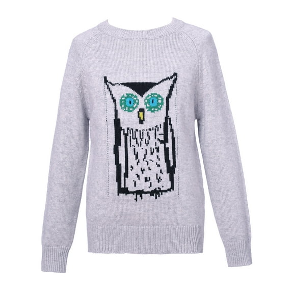 Richie House Girls' Pullover Sweater with Owl Artwork RH1952