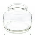 thumbnail image 1 of Richland Etta Vase 3" x 4" Set of 6, 1 of 3