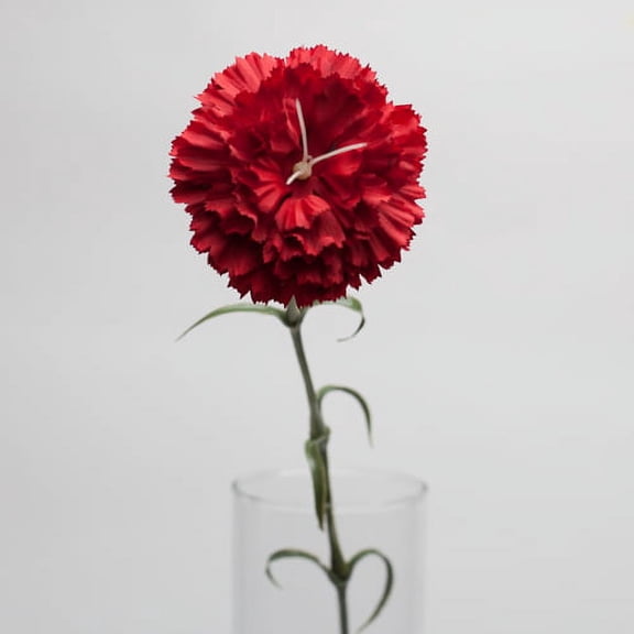 Richland Red Carnation 27" Set of 24