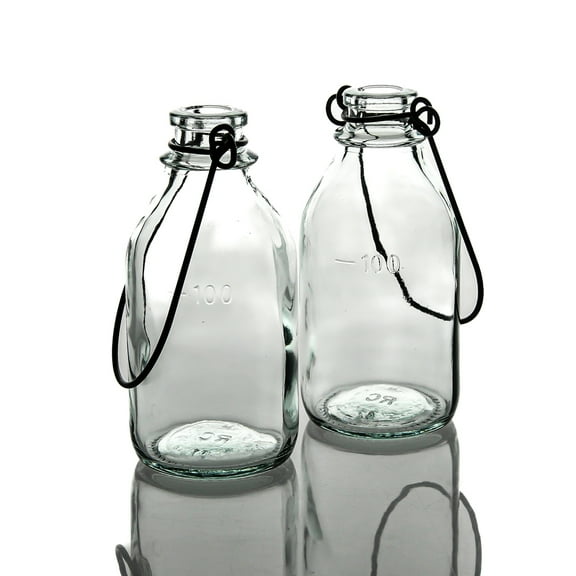 Richland Vintage Bottle Hanging Glass Vase Set of 12