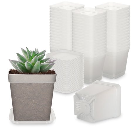 Richoose 7.87 x 3 x 2.76 Square Clear Plastic Plant Pot with Reusable 50 Count