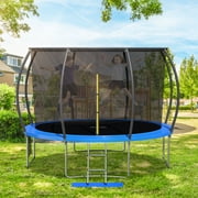 Richryce 10 FT Trampoline for Kids Adults with Safety Enclosure Net and Ladder,Outdoor Fitness Trampoline for Family, Easy Assembly