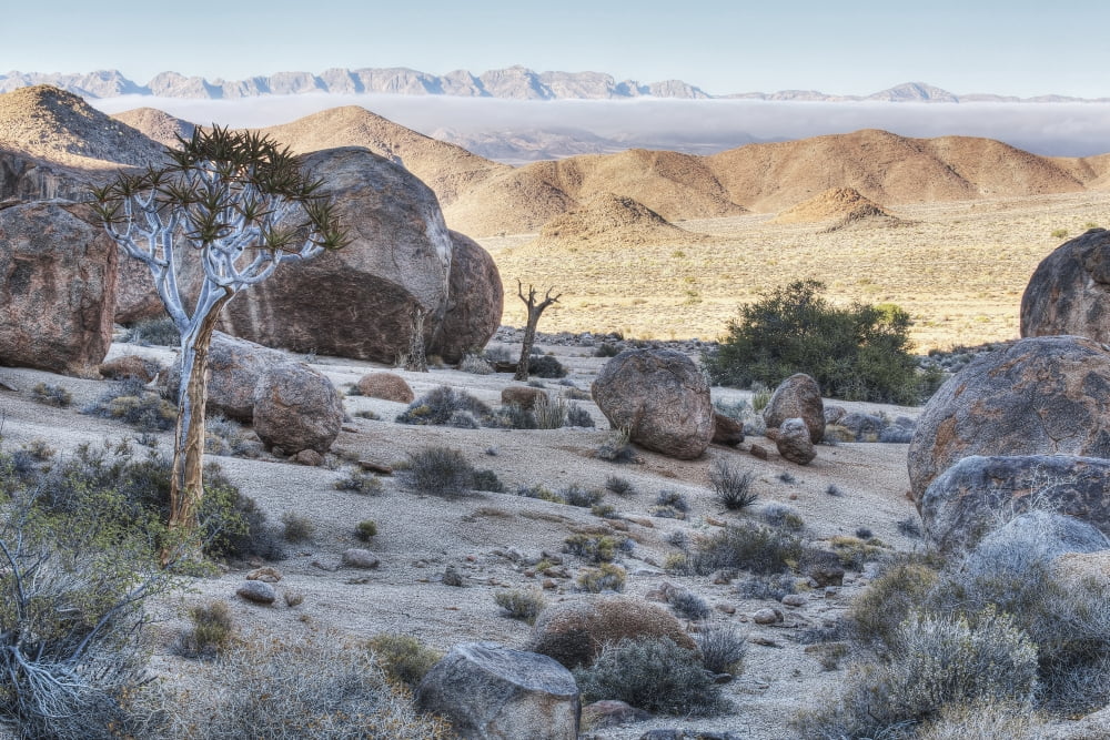 Richtersveld National Park South Africa Canvas Art - Robert Postma Design Pics (19 x 12)