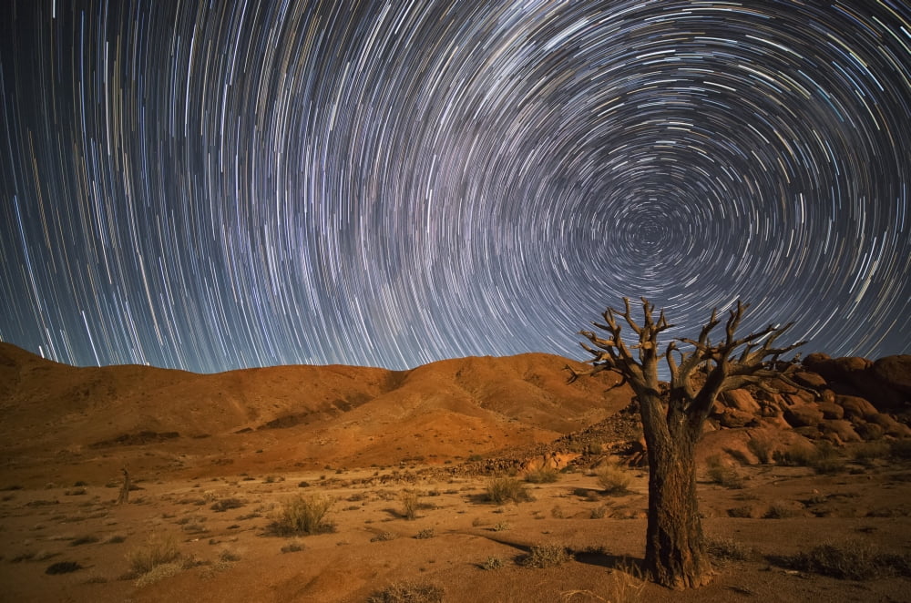 Richtersveld National Park with dead Kookerboom tree and star trails in the night sky South Africa Canvas Art - Robert Postma Design Pics (38 x 24)