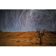 Richtersveld National Park with dead Kookerboom tree and star trails in the night sky South Africa Canvas Art - Robert Postma Design Pics 38 x 24