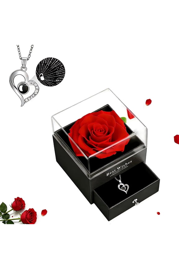 Preserved Red Rose with I Love You Necklace in 100 Languages -Eternal Flowers Rose Gifts for Mom Wife Girlfriend Her on Christmas Valentines Day Mothers Day Anniversary Birthday Gifts