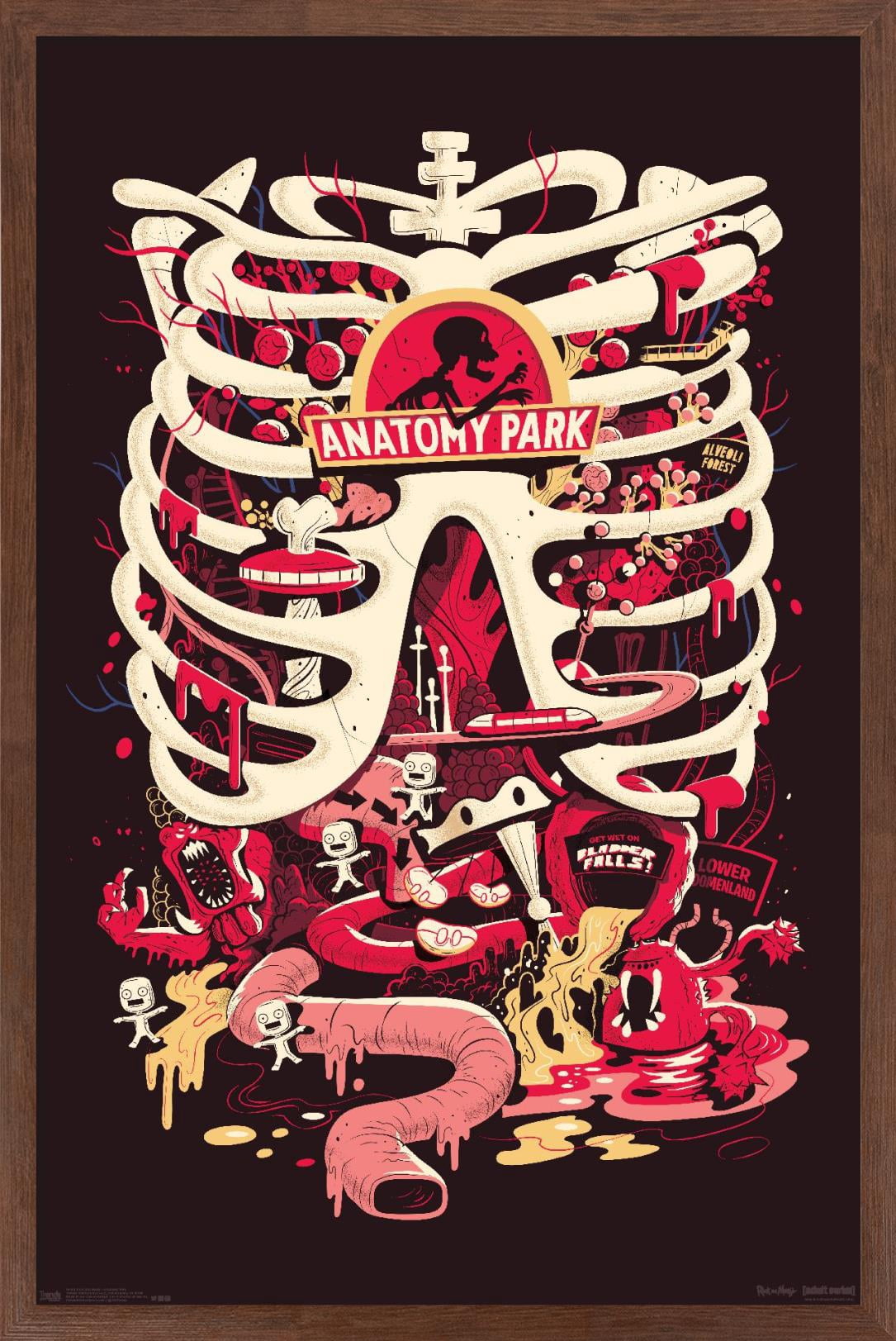 Rick And Morty - Anatomy Park Wall Poster, 14.725" x 22.375", Framed