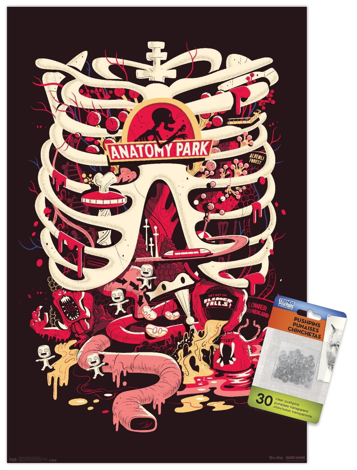Rick And Morty - Anatomy Park Wall Poster with Push Pins, 14.725" x 22.375"