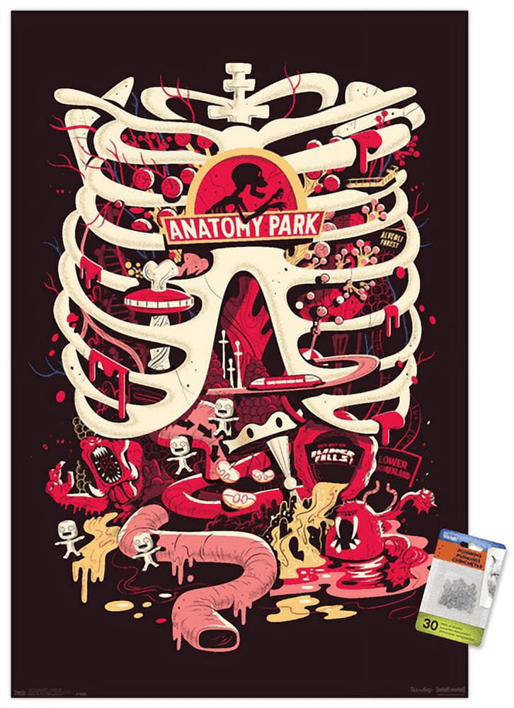 Rick And Morty - Anatomy Park Wall Poster with Push Pins, 22.375" x 34"