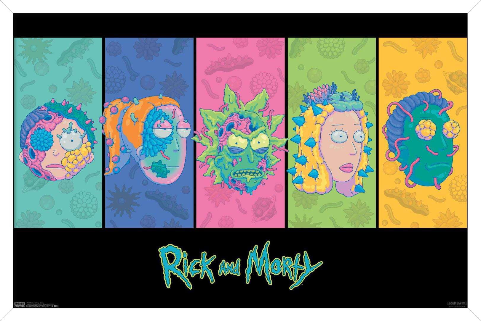 Rick And Morty - Faces Wall Poster, 22.375" x 34", Framed