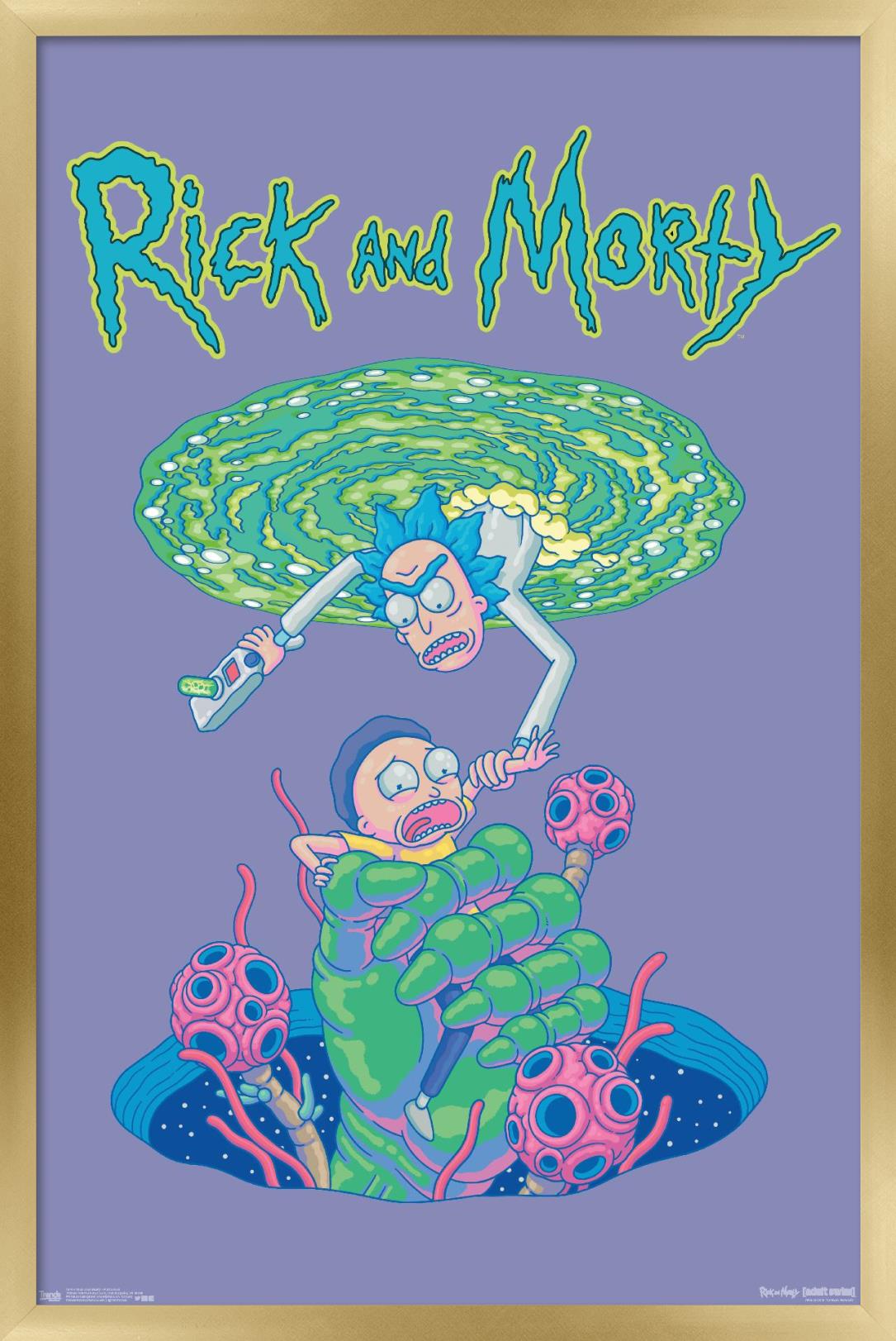 Rick And Morty - Portal Fall Wall Poster, 22.375" x 34", Framed