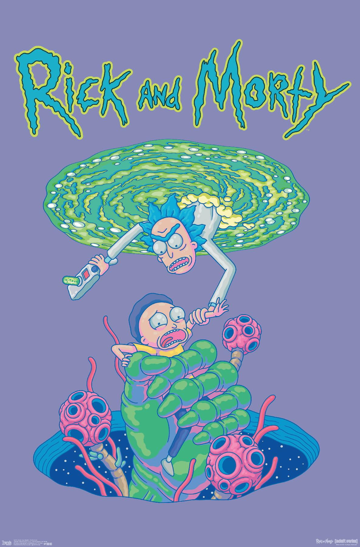 廃盤　大判　ディスプレイ　rick and morty ポスター Trends International Rick And Morty Art Decor: Portal Fall Wall