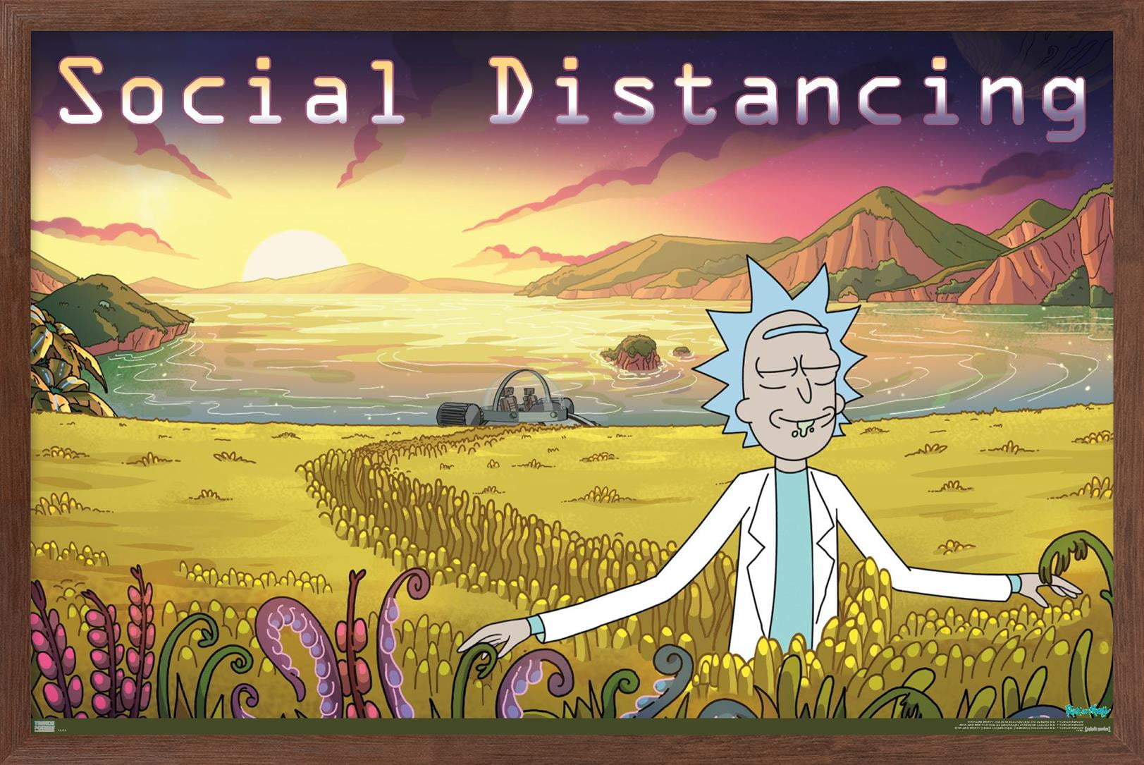 Rick And Morty - Social Distancing Wall Poster, 14.725" x 22.375" Framed
