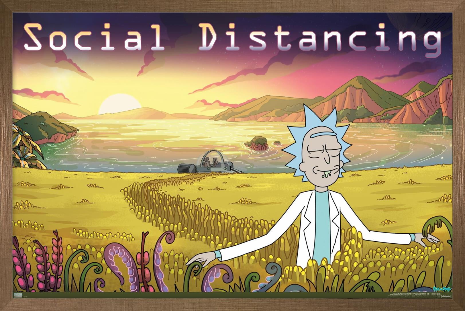 Rick And Morty - Social Distancing Wall Poster, 14.725" x 22.375" Framed