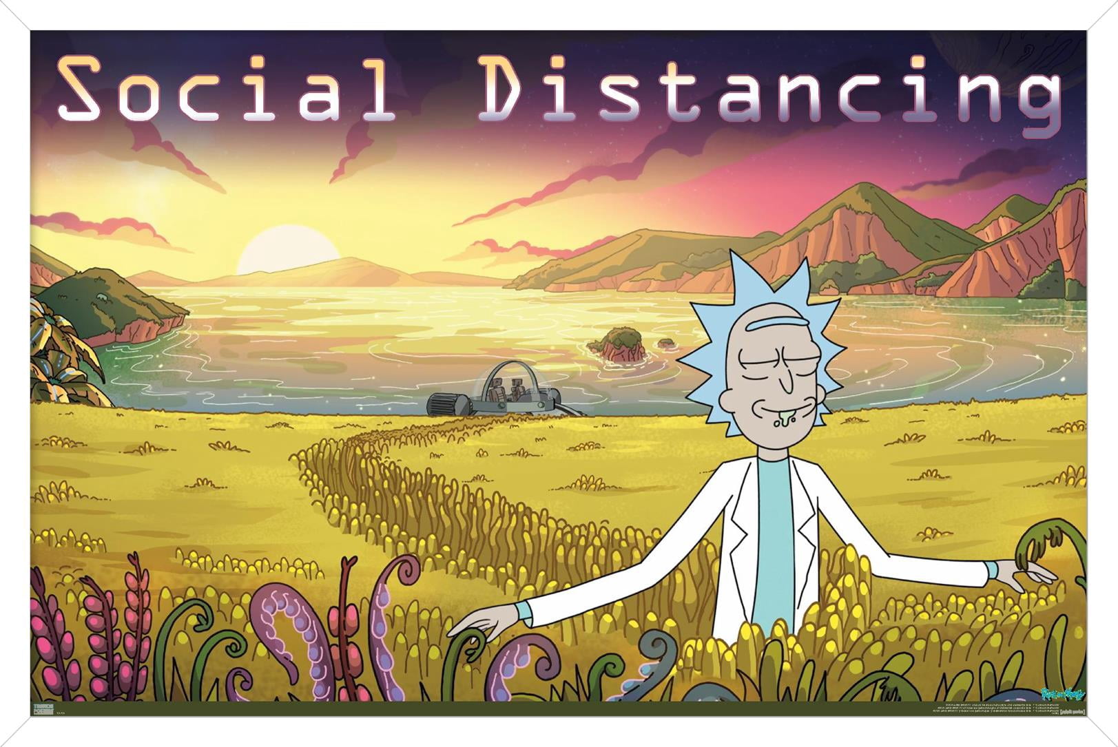 Rick And Morty - Social Distancing Wall Poster, 22.375" x 34" Framed