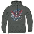 thumbnail image 1 of Rick and Morty Phoenix Person Unisex Adult Pull-Over Hoodie, Charcoal, Medium, 1 of 5