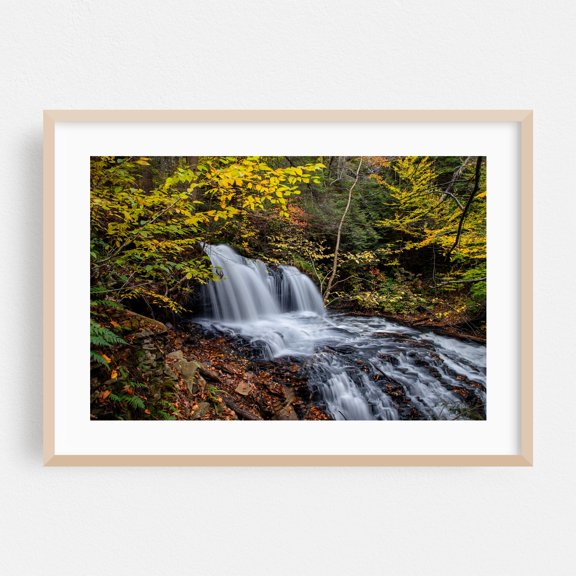 Ricketts Glen State Park - Photography Waterfall Autumn Nature Forest Scenic Woodland Landscape Oak Framed Wall Art Print 16 x 24 inches